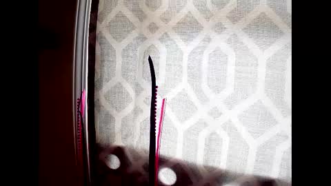 Highnesscali37 online show from 12/07/24, 08:16