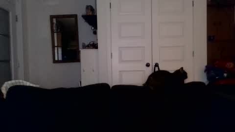 hightonight27 online show from 02/21/26, 04:24