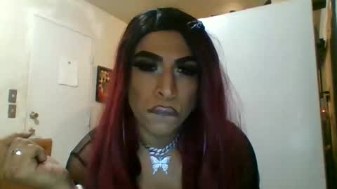 hihheelstranny online show from 04/12/26, 08:08