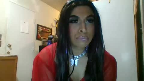 hihheelstranny online show from 04/25/26, 10:18