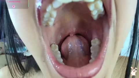 hinata online show from 02/20/26, 08:53