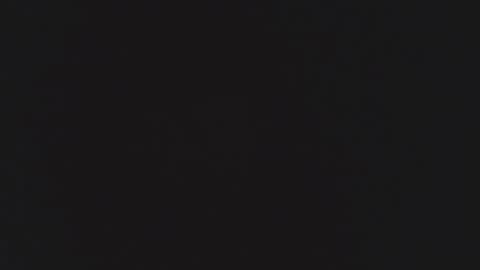 FANE AND DAVID online show from 12/16/25, 12:37