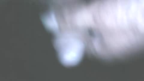 Snapshot of hofnung chatting on 06/01/26, 11:39 hofnung online show from 06/01/26, 11:39