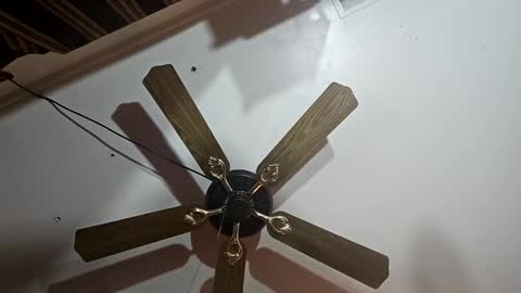 hoglegg99384194 online show from 01/13/25, 06:27