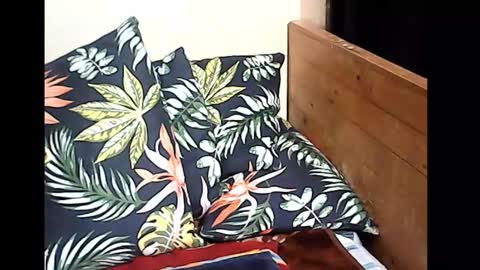 Snapshot of holygurl77 chatting on 10/14/25, 10:10 cristy online show from 10/14/25, 10:10