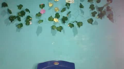 Queen online show from 11/13/25, 01:48