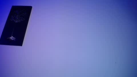 Honney online show from 02/14/25, 03:22