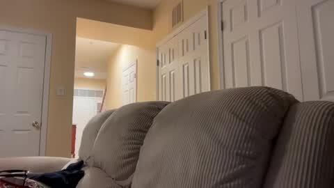 honey_man14 online show from 12/17/24, 08:34