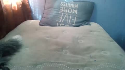 Snapshot of honeybut72uwu chatting on 09/19/25, 09:59 Honeybut72 online show from 09/19/25, 09:59