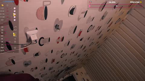 the perfectgirl online show from 12/28/24, 12:13