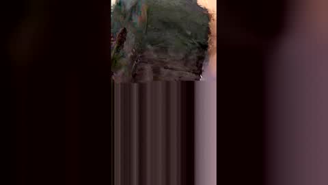 Snapshot of hongo4207 chatting on 02/06/26, 12:19 hongo4207 online show from 02/06/26, 12:19