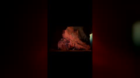 Snapshot of hoodiehoe chatting on 03/03/26, 06:41 hoodiehoe online show from 03/03/26, 06:41