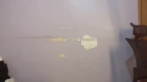 phanice online show from 04/22/26, 05:10