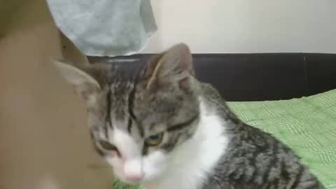 Serena online show from 11/08/25, 06:24