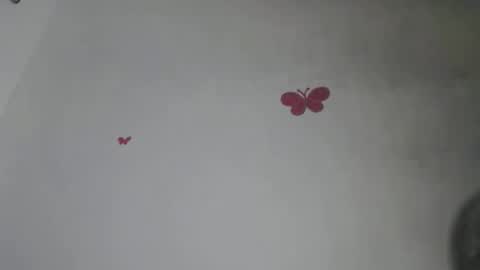 Iris online show from 11/10/25, 07:57