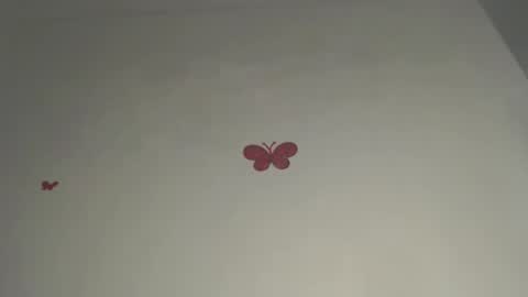 Iris online show from 03/03/26, 09:31