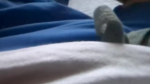 Snapshot of hornyallthetime6969696969 chatting on 07/08/26, 01:32 Tiny cock online show from 07/08/26, 01:32