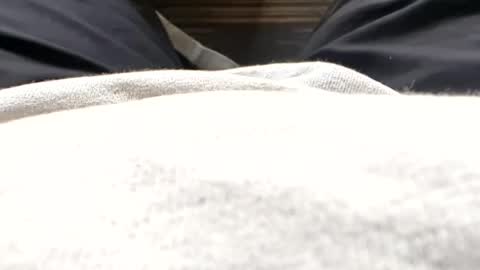 Snapshot of hornyallthetime6969696969 chatting on 07/15/26, 11:37 Tiny cock online show from 07/15/26, 11:37