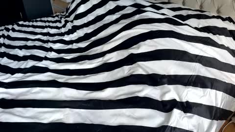 hornyasscouple1009 online show from 01/17/26, 11:37