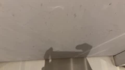 Snapshot of hornybear420420420 chatting on 03/02/26, 09:16 hornybear420420420 online show from 03/02/26, 09:16