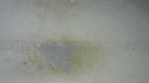 Bella online show from 02/27/26, 09:48