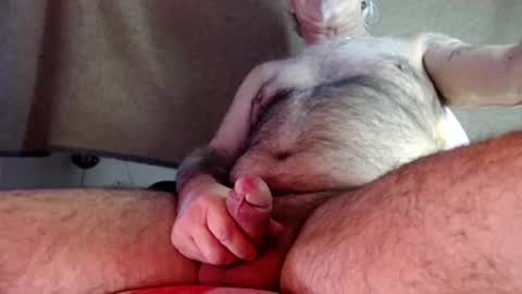 hornyswissman online show from 12/11/24, 02:54