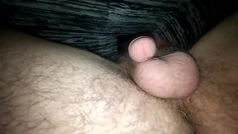 horsecock9748 online show from 02/12/25, 09:52