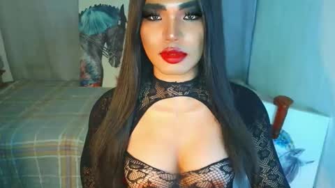 HORSECOCKterra online show from 11/20/25, 09:14