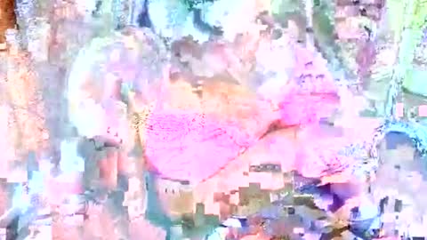 hot_baby_priya online show from 10/12/25, 04:50