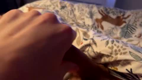 hot_for_you_ online show from 02/26/26, 02:10