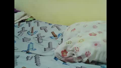 hot_shannia online show from 04/21/26, 08:12