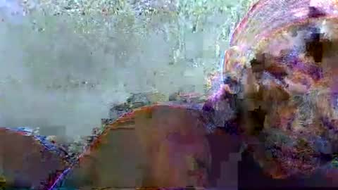 hotagrace online show from 02/14/26, 07:16