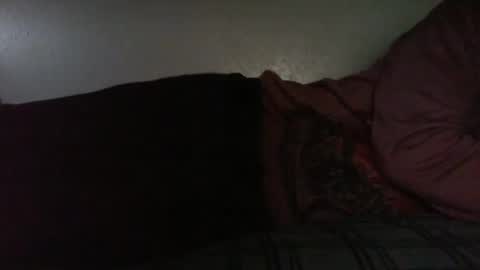 Bitch for abuse online show from 04/16/26, 06:41