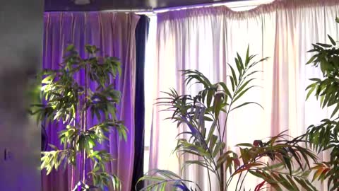 Anais online show from 09/21/25, 06:15