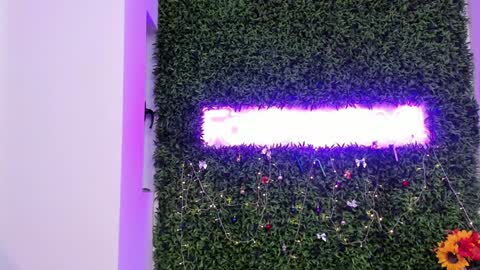 hotfallingdevil online show from 12/21/25, 07:15