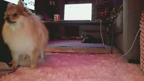 hotgirlbigbutt online show from 01/17/26, 11:15