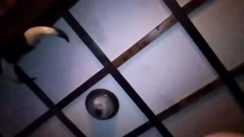 hotloads1992 online show from 01/10/26, 01:18