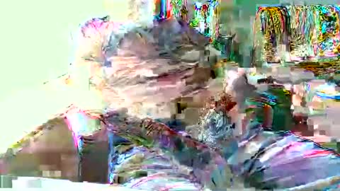 Hottop 1981 online show from 04/19/26, 04:39