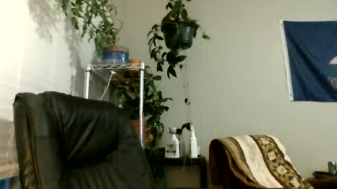 Hottop 1981 online show from 07/06/26, 02:52