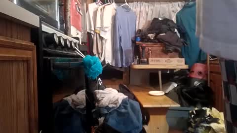 Snapshot of houndmefromhell chatting on 12/02/24, 10:50 houndmefromhell online show from 12/02/24, 10:50