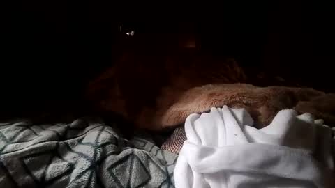 Snapshot of houndmefromhell chatting on 12/25/24, 04:22 houndmefromhell online show from 12/25/24, 04:22