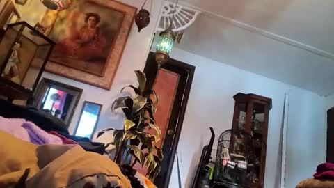 Snapshot of houndmefromhell chatting on 03/05/25, 09:59 houndmefromhell online show from 03/05/25, 09:59