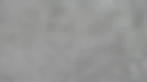 Snapshot of hourg chatting on 11/23/25, 04:56 Slutty little female cat online show from 11/23/25, 04:56