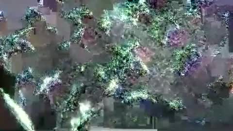 Snapshot of hp58649blabla chatting on 09/17/25, 01:07 hp58649blabla online show from 09/17/25, 01:07