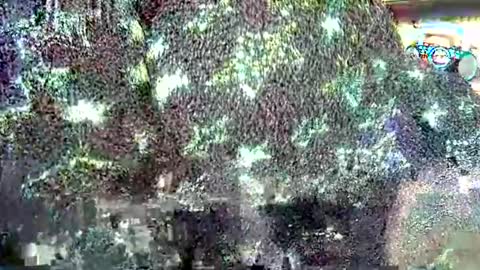 Snapshot of hp58649blabla chatting on 09/24/25, 07:55 hp58649blabla online show from 09/24/25, 07:55