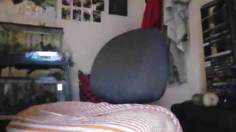 hrnyymff online show from 11/28/25, 05:04