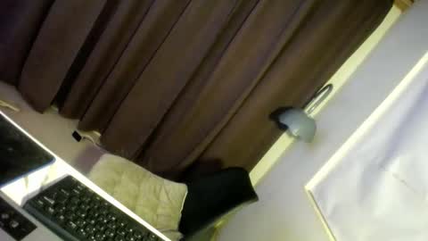 Precious online show from 12/29/24, 06:56