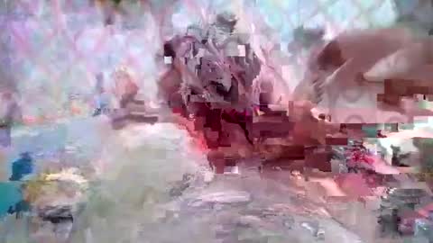 Huge dick online show from 03/08/26, 05:28