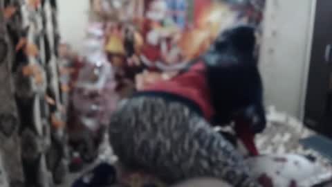 hugeassdevil online show from 01/23/25, 05:42