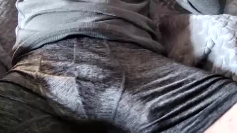 hugepecker131 online show from 12/18/25, 01:17